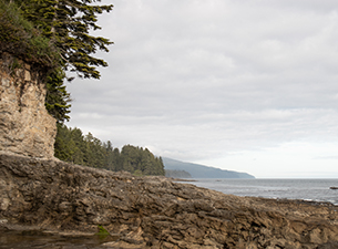 top-5-stops-to-make-when-rving-southern-vancouver-island